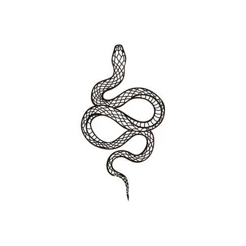 LIEJI Змея Dance Травяной Tattoo Наклейка