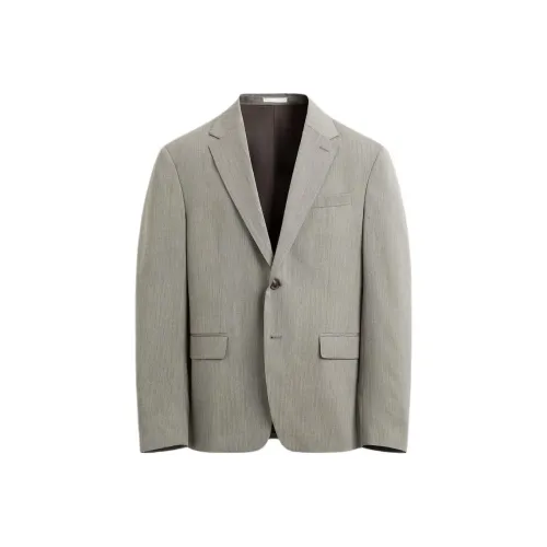 ZARA Collaboration Коричневый Темно-Серый Коричневый Мужской Деловой Костюм