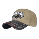 Чёрный козырек и бежевая центральная часть