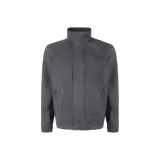 Волчий серый