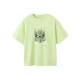 Жёлтый-Зелёный 41129