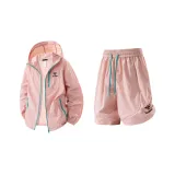 Ледяной сливовый пудра