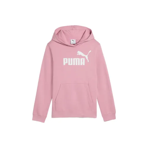 PUMA Толстовка Essentials №1 Подростки