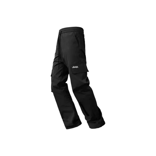 JEEP Унисекс Повседневные брюки