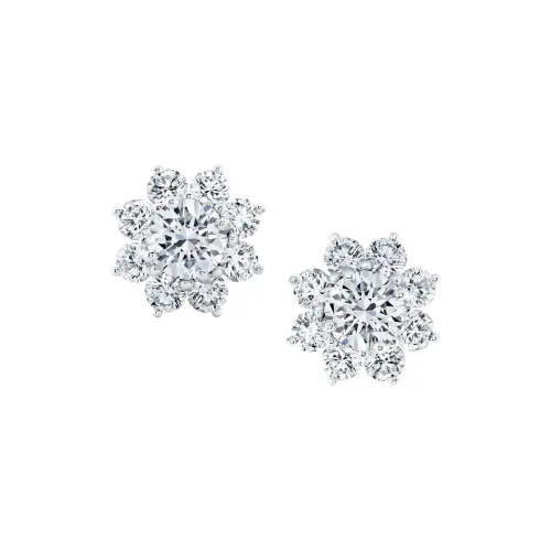HARRY WINSTON Серьги Женские