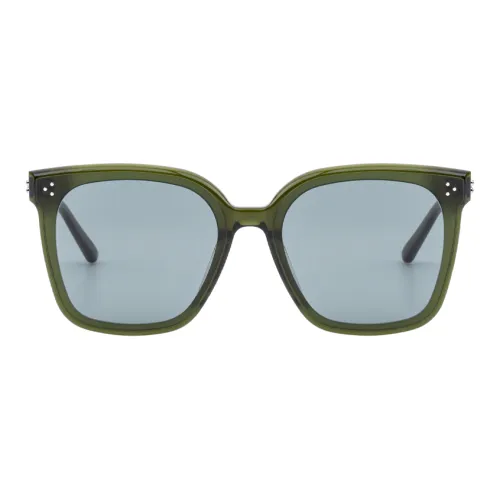 GENTLE MONSTER Пластиковая оправа нерегулярная форма солнцезащитные очки унисекс зеленый
