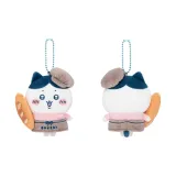 Хачиваре-Бэкер