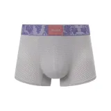 [Дионисий Серый]