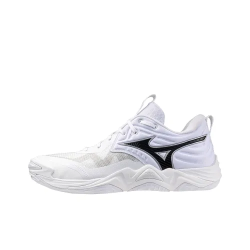 Mizuno WAVE MOMENTUM ELITE Low Топ Кроссовки для тренировок Унисекс Белый