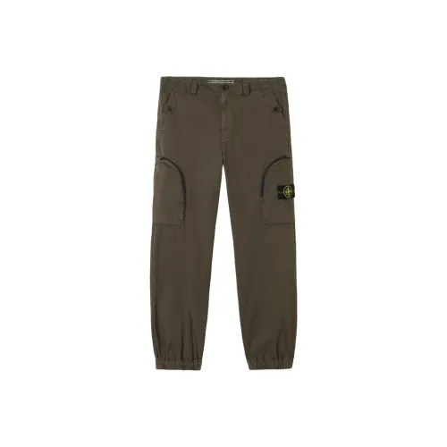 STONE ISLAND Карго брюки Мужские Армейский зеленый