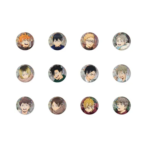 CRUX Haikyuu!! Красивый День Значки