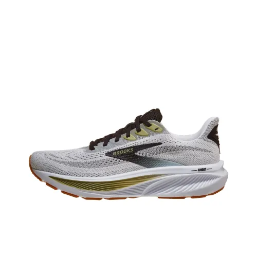 Беги Кроссовки Brooks Ghost 17 Низкий Топ Серый Мужской