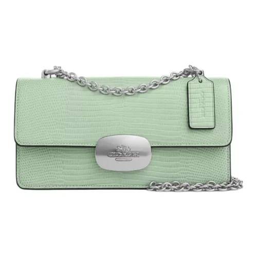 COACH Eliza Кожа Сумка через плечо Маленькая Женская Серебряный и Светло-зеленый