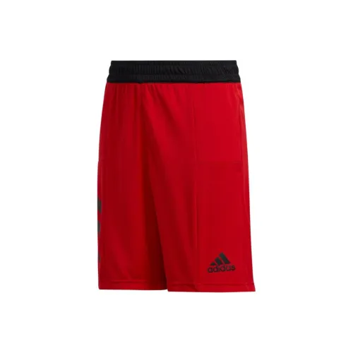 Adidas Red Kids Short