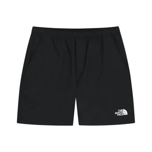 THE NORTH FACE OLEMA EX Повседневные шорты Унисекс Черный