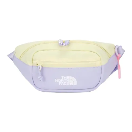 The North Face Нейлон Бананка Стандартная Женская Фиолетовая и Желтая