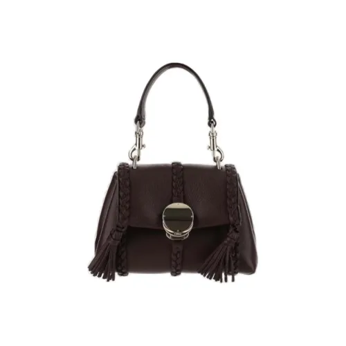 Chloe Penelope series Телячья кожа Сумка Мини Женская Темно-коричневая