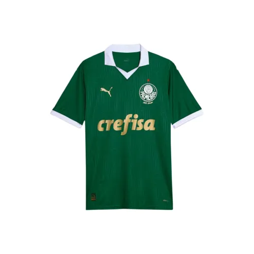 PUMA FW24 Футбол Джерси Мужской Зеленый