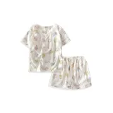 Абрикосовый