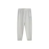 Цвет серой чайки