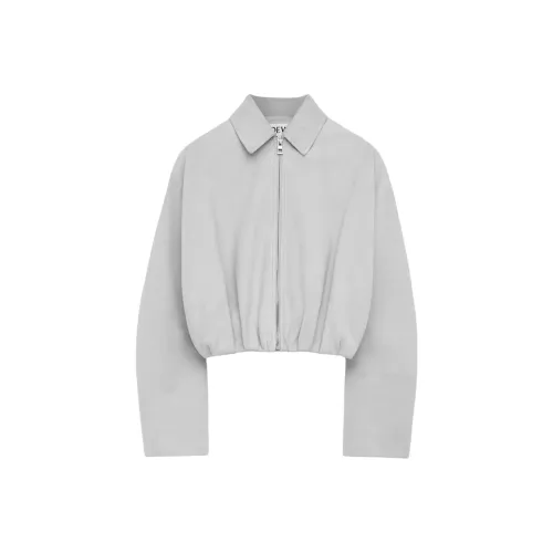 LOEWE FW25 Кожа Куртка Женская Светло-Серый