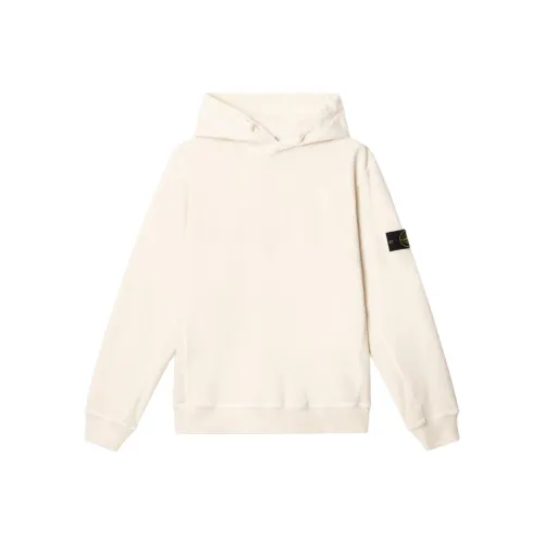 STONE ISLAND Толстовка Мужская Бежевая