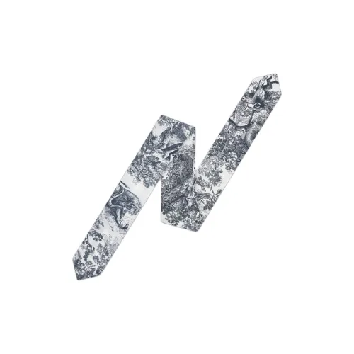 DIOR Silk Twill Silk Scarves Unisex Blue DIOR Шелк Саржа Шелковые Шарфы Унисекс Синий