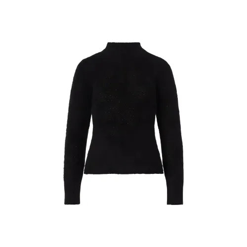 Оборудование FW23 Свитер Женский Черный