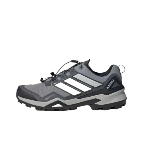 adidas Terrex SKYCHASER Low Топ Походная обувь Мужская Серый