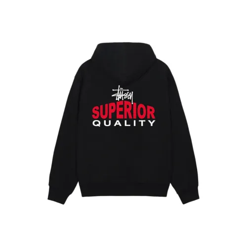 STUSSY SS25 Унисекс Свитшоты