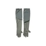 Ель Зеленая