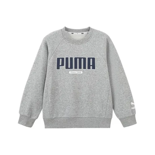PUMA Толстовка Sportstyle Collection 1948 WISETHERMA Логотип Crew FL Светло-пшеничный серый Детский