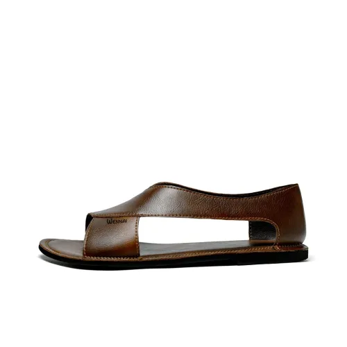 Wen Nai Пляжные сандалии Мужские Коричневые
