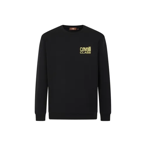 Cavalli Class Мужские Свитшоты