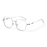 Серебряная оправа [73093-C1]