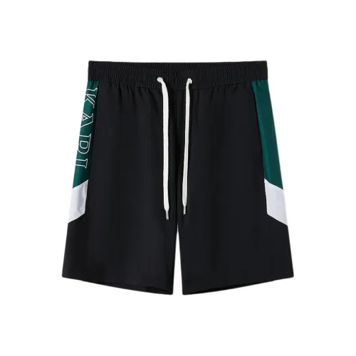 KARL LAGERFELD SS25 Повседневные шорты Мужские Черные