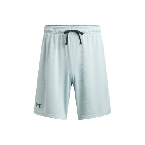 Under Armour Tech SS25 Повседневные шорты Мужские