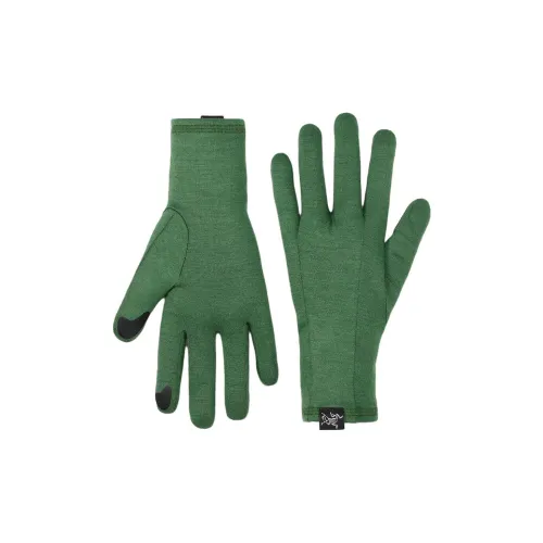 Arcteryx Перчатки из мериносовой шерсти Унисекс Зеленый