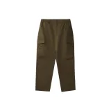 Белка каштанового цвета-BN