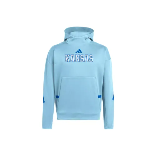 Adidas Толстовка Мужская Светло-Синяя Команда