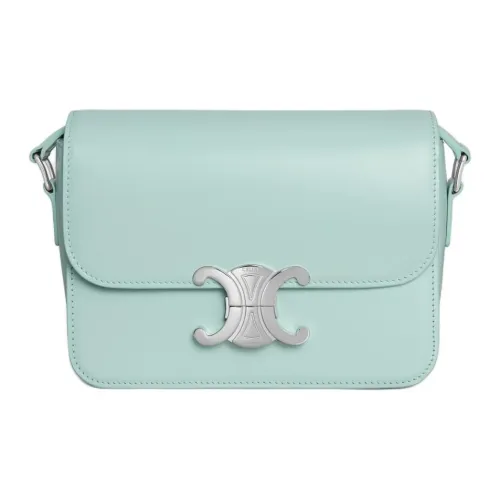 CELINE Teen Triomphe Коровья кожа Сумка через плечо Сумка на плечо Стандартная Женская Аква Светло-зеленый