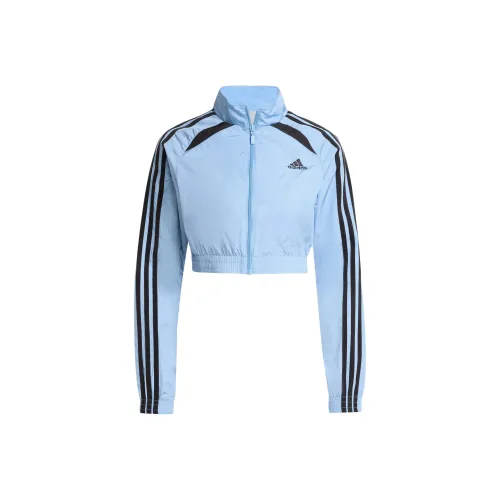 Adidas Куртки и Пальто Женские Серый Синий