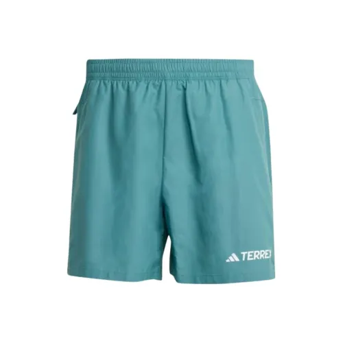 adidas Terrex Циан Мужские Повседневные Шорты