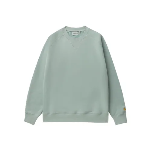 Carhartt WIP Зеленый Мужской Свитшот