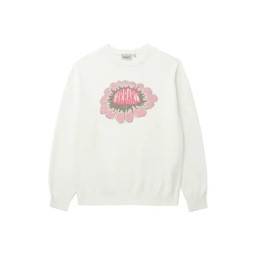 Carhartt WIP Бежевый Желтый Мужские Свитшоты