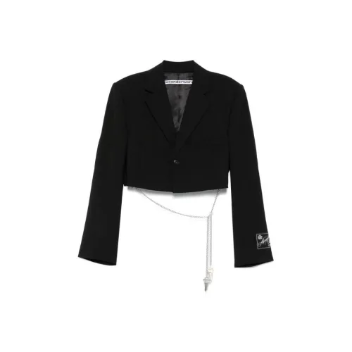 Alexander Wang FW25 Бизнес-костюм женский черный