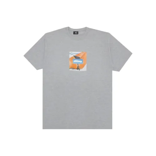 Stussy Gray Мужская T-рубашка