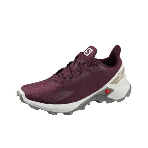 SALOMON Устойчивый к истиранию Низкий Топ Повседневная Беговая Обувь Женская Фиолетовая
