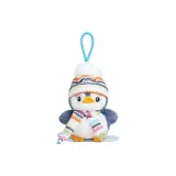 Лыжи Модель