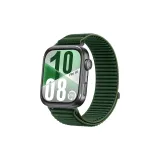 Ель Зеленая